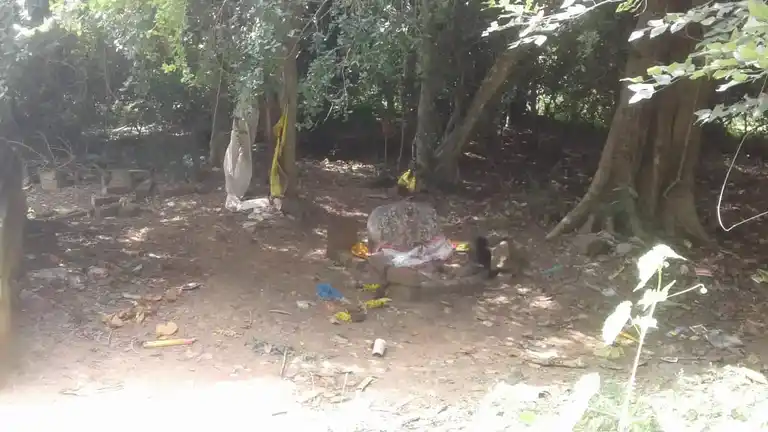 Arulmigu Ayyanar Temple, Puliyur - 607302