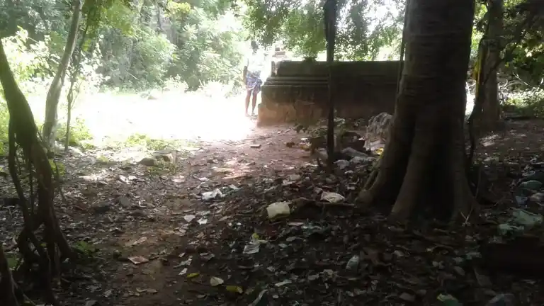 Arulmigu Ayyanar Temple, Puliyur - 607302 Arulmigu Ayyanar Temple, Puliyur - 607302, Cuddalore - Ancient Temple Architecture and History Image 3