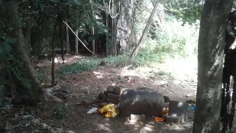 Arulmigu Ayyanar Temple, Puliyur - 607302 Arulmigu Ayyanar Temple, Puliyur - 607302, Cuddalore - Ancient Temple Architecture and History Image 4