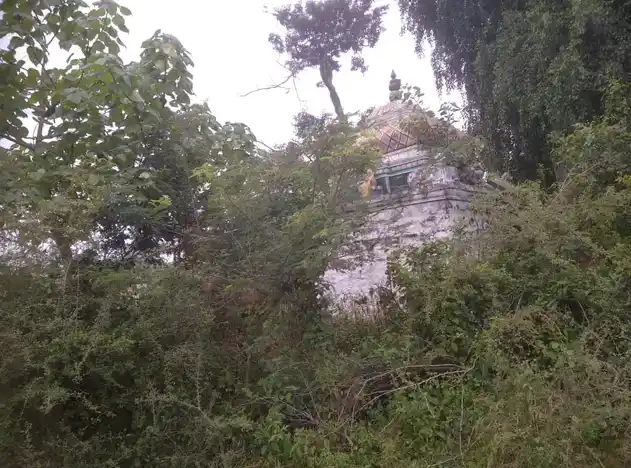 Arulmigu Ayyanar Temple, Pungnippatti - 622102 அருள்மிகு அய்யனார் திருக்கோயில், Pungnippatti - 622102, Pudukkottai - Ancient Temple Architecture and History Image 4