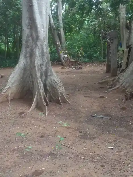 Arulmigu Ayyanar Temple, Ramagowndanpatti - 625022