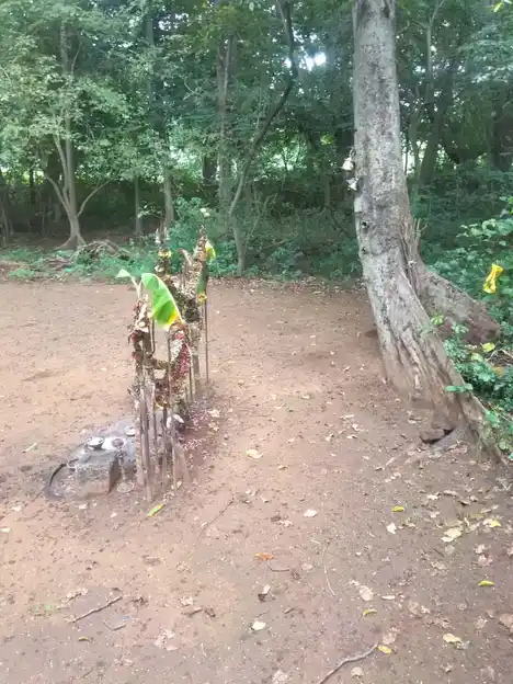 Arulmigu Ayyanar Temple, Ramagowndanpatti - 625022 அருள்மிகு அய்யனர், Ramagowndanpatti - 625022, Madurai - Ancient Temple Architecture and History Image 3