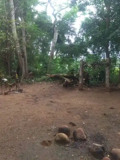 Arulmigu Ayyanar Temple, Ramagowndanpatti - 625022 அருள்மிகு அய்யனர், Ramagowndanpatti - 625022, Madurai - Ancient Temple Architecture and History Image 4