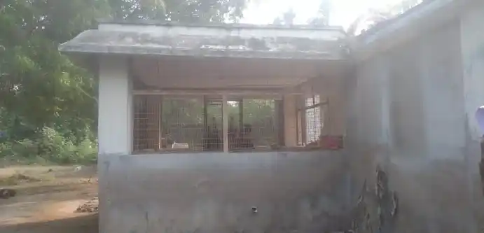 Arulmigu Ayyanar Temple, Ramanatha Nallur - 620102 Arulmigu Ayyanar Temple, Ramanatha Nallur, Ramanatha Nallur - 620102, Thiruchirappalli - Ancient Temple Architecture and History Image 8