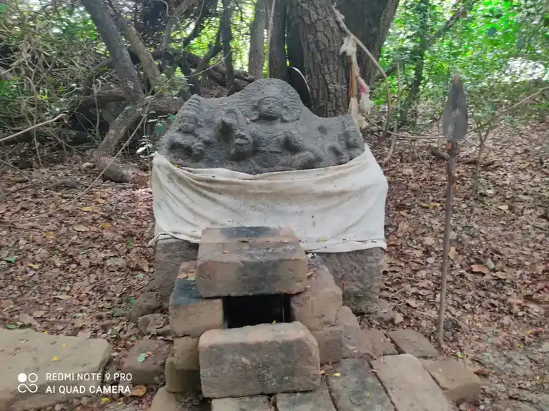 Arulmigu Ayyanar Temple, Rangiyam - 608901