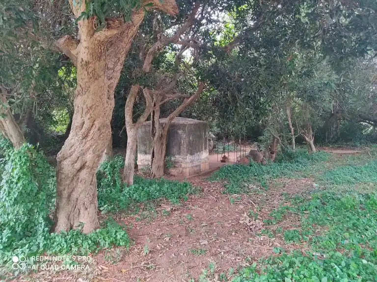 Arulmigu Ayyanar Temple, Rangiyam - 608901 அருள்மிகு அய்யனார் திருக்கோயில், Rangiyam - 608901, Ariyalur - Ancient Temple Architecture and History Image 4