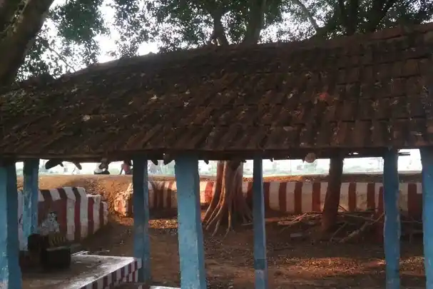 Arulmigu Ayyanar Temple, S. Alangulam - 625017