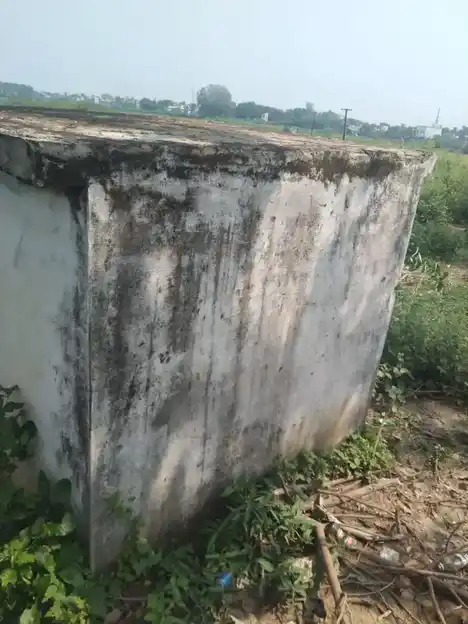 Arulmigu Ayyanar Temple, S.Kodikulam - 626133