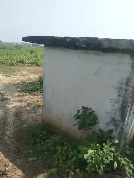 Arulmigu Ayyanar Temple, S.Kodikulam - 626133 அருள்மிகு அய்யனார் திருக்கோயில், எஸ். கொடிக்குளம் - 626133, Virudhunagar - Ancient Temple Architecture and History Image 2