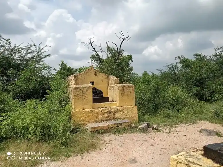 Arulmigu Ayyanar Temple, S.Vellakulam - 625701