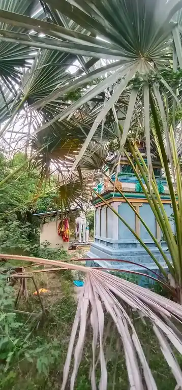 Arulmigu Ayyanar Temple, Salavampettai - 609405