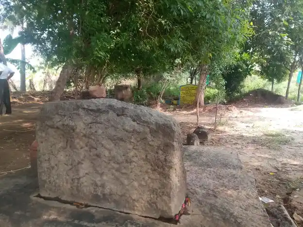 Arulmigu Ayyanar Temple, Sampakudi - 625005