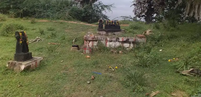 Arulmigu Ayyanar Temple, Sannathiputhukulam, Sannathiputhukulam - 630606