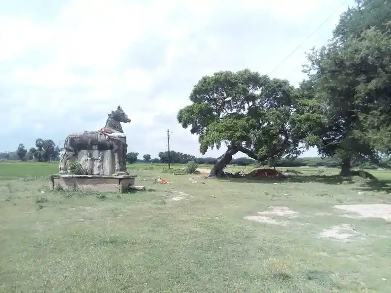 Arulmigu Ayyanar Temple, Seeganenthal - 614631