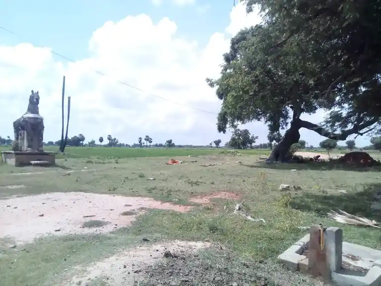 Arulmigu Ayyanar Temple, Seeganenthal - 614631 Arulmigu Ayyanar Temple, Seeganenthal - 614631, Pudukkottai - Ancient Temple Architecture and History Image 4