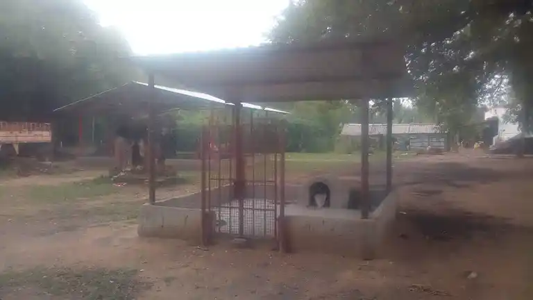 Arulmigu Ayyanar Temple, Senathipathi - 621715 Arulmigu Ayyanar Temple, Senathipathi - 621715, Ariyalur - Ancient Temple Architecture and History Image 2