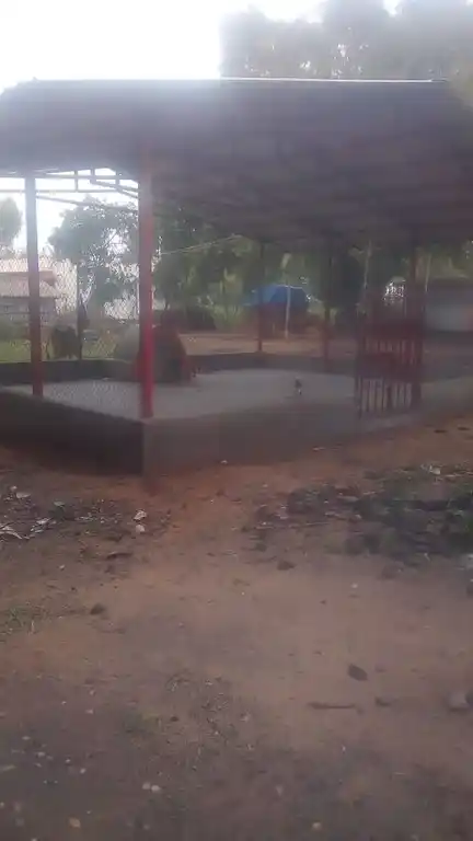 Arulmigu Ayyanar Temple, Senathipathi - 621715 Arulmigu Ayyanar Temple, Senathipathi - 621715, Ariyalur - Ancient Temple Architecture and History Image 5