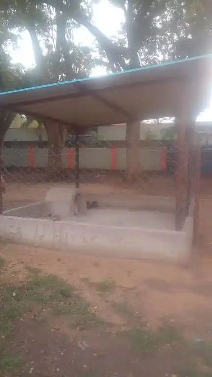 Arulmigu Ayyanar Temple, Senathipathi - 621715 Arulmigu Ayyanar Temple, Senathipathi - 621715, Ariyalur - Ancient Temple Architecture and History Image 6