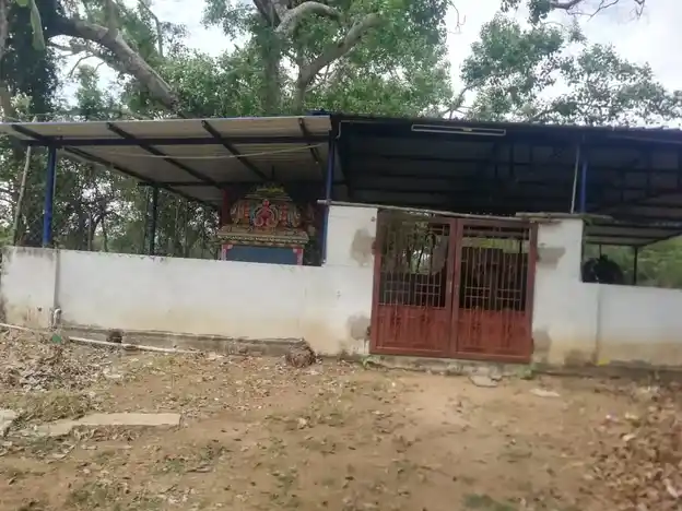 Arulmigu Ayyanar Temple, Sethur - 611101 Temple
