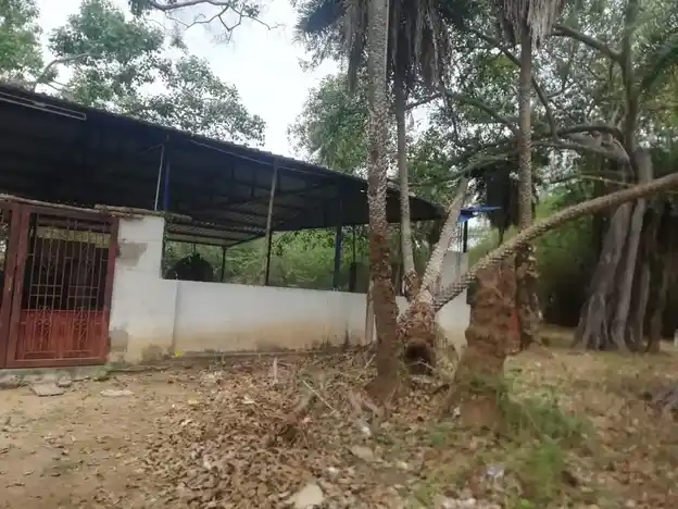 Arulmigu Ayyanar Temple, Sethur - 611101 அருள்மிகு அய்யனார் திருக்கோயில், Sethur - 611101, Nagapattinam - Ancient Temple Architecture and History Image 4