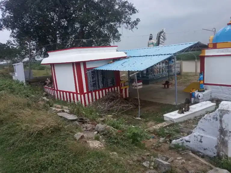 Arulmigu Ayyanar Temple, Shittor - 625707