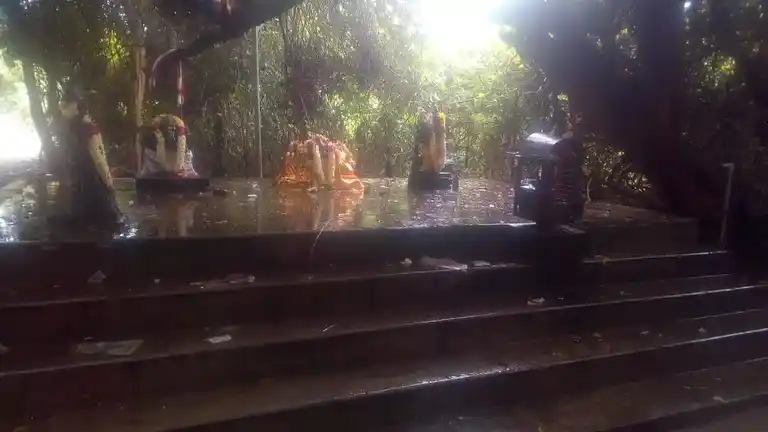 Arulmigu Ayyanar Temple, Silupanoor - 621730 Temple