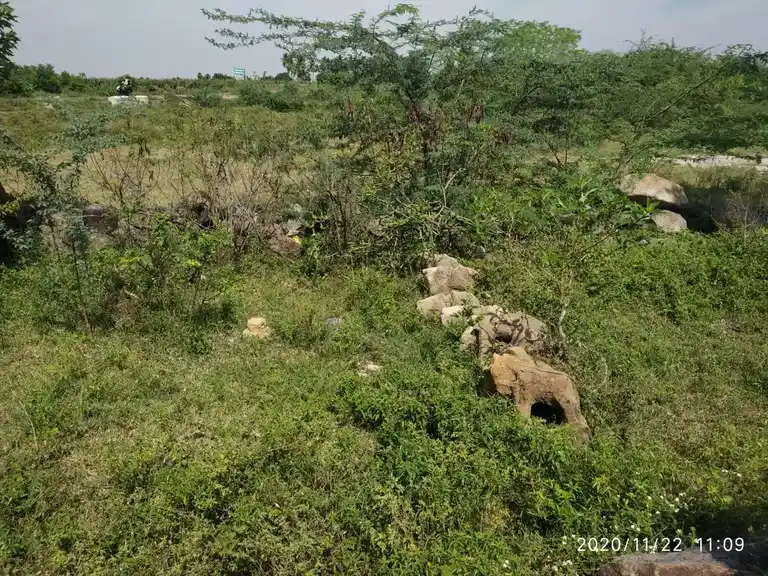Arulmigu Ayyanar Temple, Sirumathur - 621115 அருள்மிகு அய்யனார் திருக்கோயில், Sirumathur - 621115, Perambalur - Ancient Temple Architecture and History Image 2