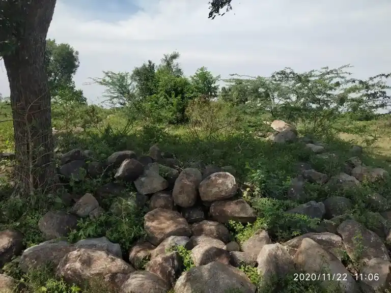 Arulmigu Ayyanar Temple, Sirumathur - 621115 அருள்மிகு அய்யனார் திருக்கோயில், Sirumathur - 621115, Perambalur - Ancient Temple Architecture and History Image 5