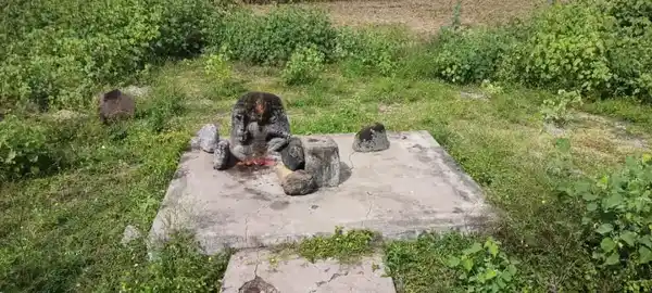 Arulmigu Ayyanar Temple, Sirunila - 621117