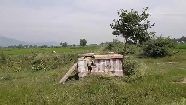 Arulmigu Ayyanar Temple, Siruvalai - 625402