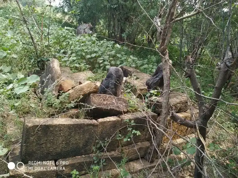 Arulmigu Ayyanar Temple, Siruvayalur - 621706