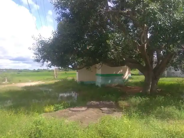 Arulmigu Ayyanar Temple, Sokanathanpatti - 625514 அருள்மிகு அய்யனார் கோயில், Sokanathanpatti, Sokanathanpatti - 625514, Madurai - Ancient Temple Architecture and History Image 4