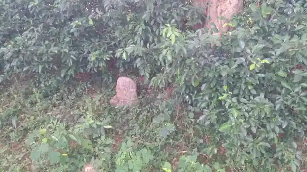 Arulmigu Ayyanar Temple, Sundaresapuram, Ariyalur - 621701 Arulmigu Ayyanar Temple,  - 621701, Ariyalur - Ancient Temple Architecture and History Image 2