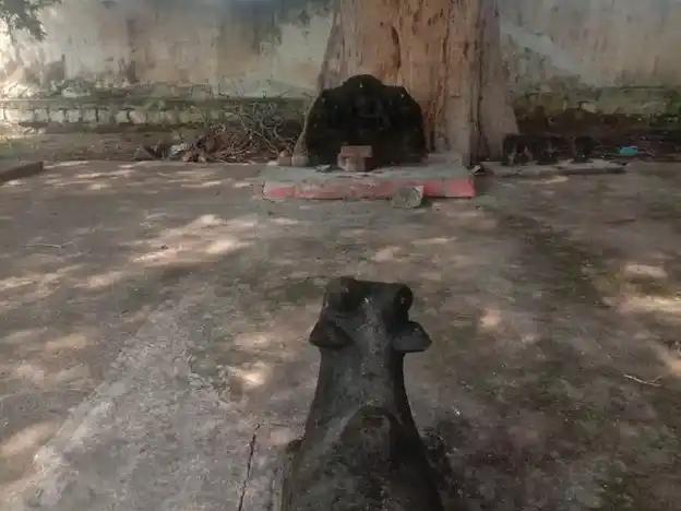 Arulmigu Ayyanar Temple, T.Kokulam - 625022