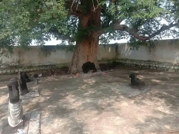 Arulmigu Ayyanar Temple, T.Kokulam - 625022 Arulmigu Ayyanar Temple, T.Kokulam - 625022, Madurai - Ancient Temple Architecture and History Image 3