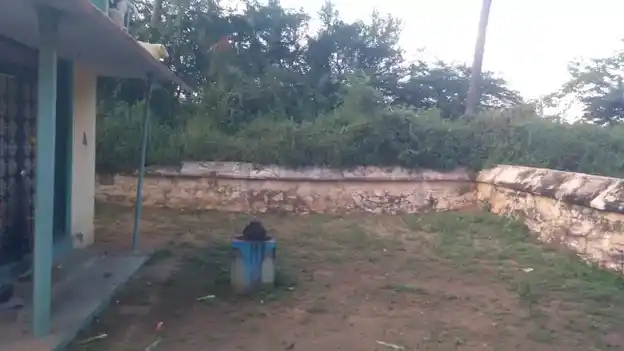 Arulmigu Ayyanar Temple, Thalaivasal - 636112 அருள்மிகு அய்யனார் திருக்கோயில், Thalaivasal - 636112, Salem - Ancient Temple Architecture and History Image 4