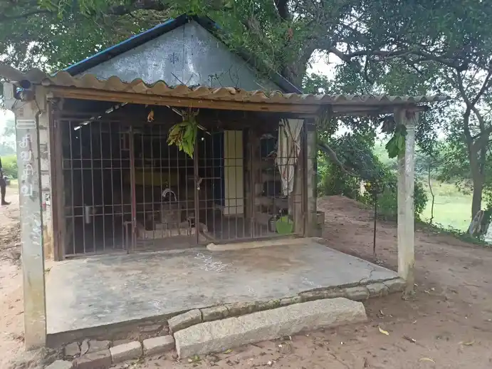 Arulmigu Ayyanar Temple, Thaluthalaimedu - 621901 Temple