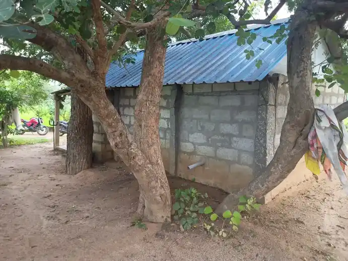 Arulmigu Ayyanar Temple, Thaluthalaimedu - 621901 அருள்மிகு அய்யனார் திருக்கோயில், Thaluthalaimedu - 621901, Ariyalur - Ancient Temple Architecture and History Image 2