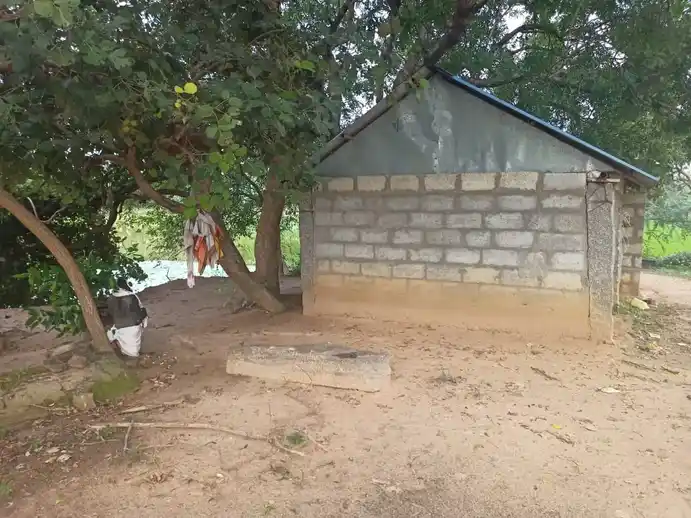 Arulmigu Ayyanar Temple, Thaluthalaimedu - 621901 அருள்மிகு அய்யனார் திருக்கோயில், Thaluthalaimedu - 621901, Ariyalur - Ancient Temple Architecture and History Image 3