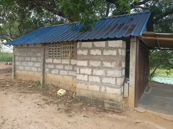 Arulmigu Ayyanar Temple, Thaluthalaimedu - 621901 அருள்மிகு அய்யனார் திருக்கோயில், Thaluthalaimedu - 621901, Ariyalur - Ancient Temple Architecture and History Image 4