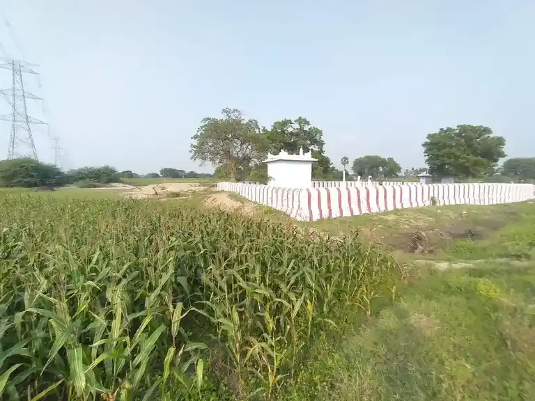 Arulmigu Ayyanar Temple, Thangalacheri - 625706 அருள்மிகு அய்யனார் திருக்கோயில், Thangalacheri - 625706, Madurai - Ancient Temple Architecture and History Image 3