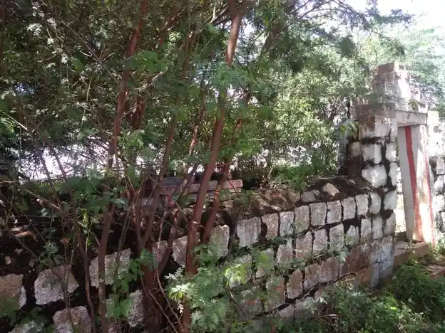 Arulmigu Ayyanar Temple, Thatankulam - 625214