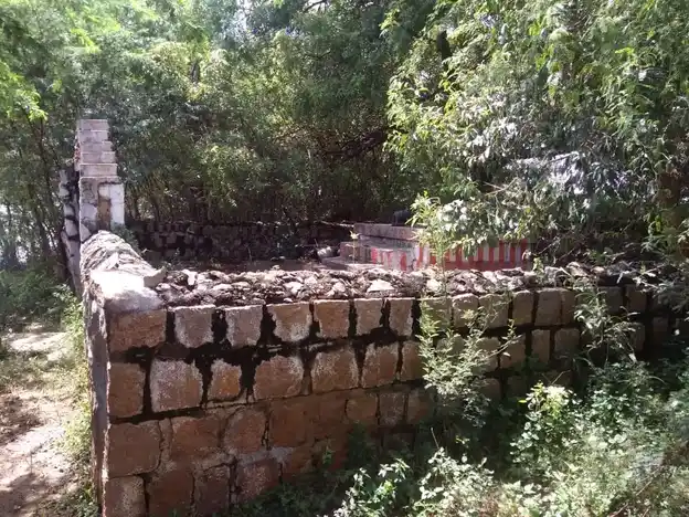 Arulmigu Ayyanar Temple, Thatankulam - 625214 அருள்மிகு அய்யனார் திருக்கோயில், Thatankulam - 625214, Madurai - Ancient Temple Architecture and History Image 2