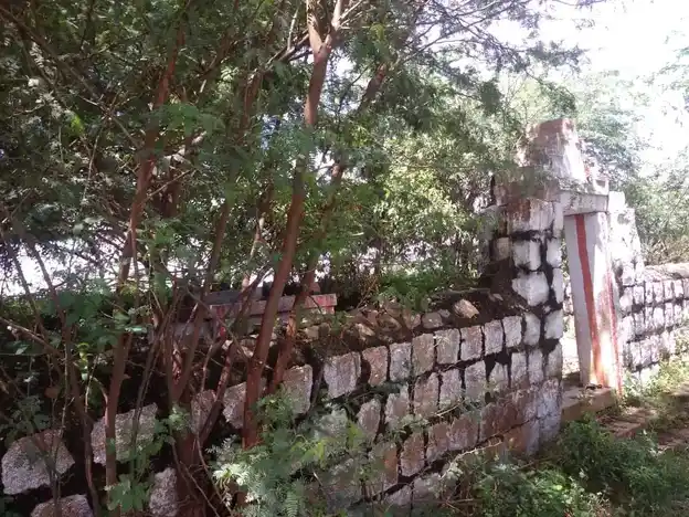 Arulmigu Ayyanar Temple, Thatankulam - 625214 அருள்மிகு அய்யனார் திருக்கோயில், Thatankulam - 625214, Madurai - Ancient Temple Architecture and History Image 3