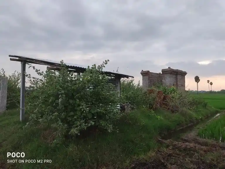Arulmigu Ayyanar Temple, Thayanur - 620102