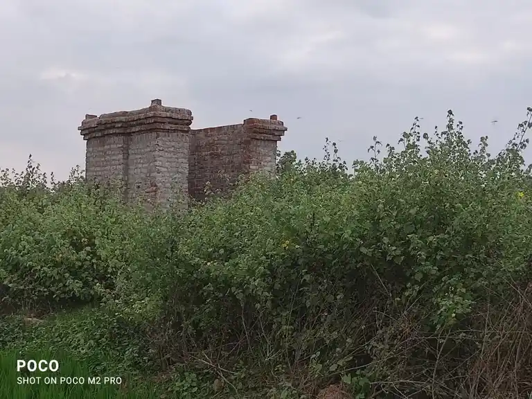 Arulmigu Ayyanar Temple, Thayanur - 620102 Arulmigu Ayyanar Temple, Thayanur - 620102, Thiruchirappalli - Ancient Temple Architecture and History Image 3