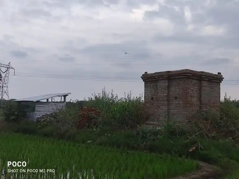 Arulmigu Ayyanar Temple, Thayanur - 620102 Arulmigu Ayyanar Temple, Thayanur - 620102, Thiruchirappalli - Ancient Temple Architecture and History Image 4
