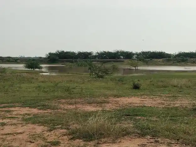 Arulmigu Ayyanar Temple, Thenkarai - 626136 அருள்மிகு அய்யனார் திருக்கோயில், தென்கரை - 626136, Virudhunagar - Ancient Temple Architecture and History Image 7