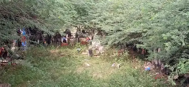 Arulmigu Ayyanar Temple, Thennampaadi - 621316