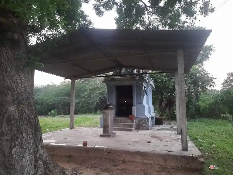 Arulmigu Ayyanar Temple, Thirukolakka, Thadaalankoil - 609110 Temple